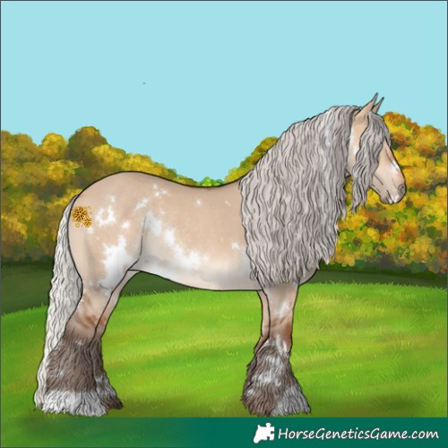 Horse Color:White Spotted Silver Bay Dun Rabicano 