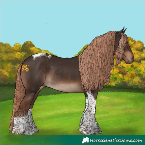 Horse Color:Liver Chestnut Tobiano Rabicano 