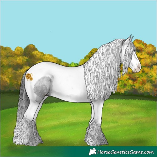 Horse Color:White Spotted Black Splash Tobiano