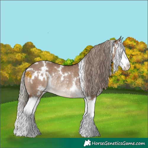 Horse Color:White Spotted Liver Red Dun Splash Rabicano 