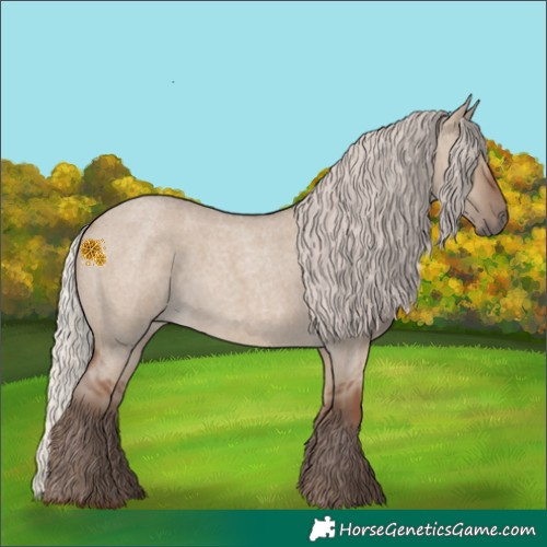 Horse Color:Silver Grullo Roan