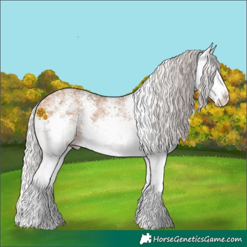 Horse Color:White Spotted Silver Bay Dun Sabino Rabicano