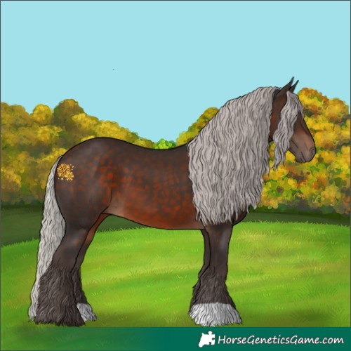 Horse Color:Silver Brown