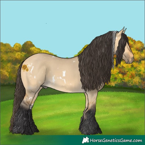 Horse Color:White Spotted Buckskin Dun