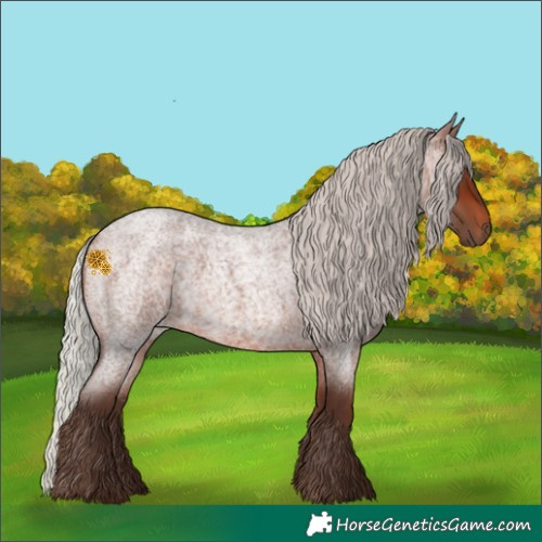 Horse Color:Silver Brown Roan Rabicano 