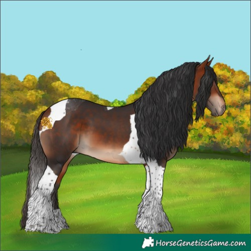 Horse Color:Bay Tobiano 
