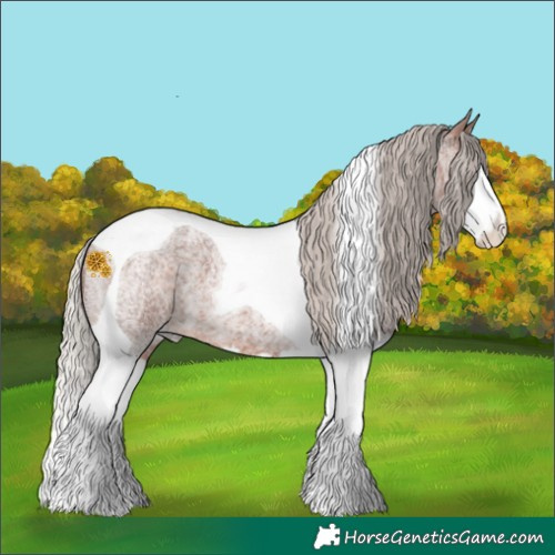 Horse Color:Silver Brown Roan Splash Tobiano 