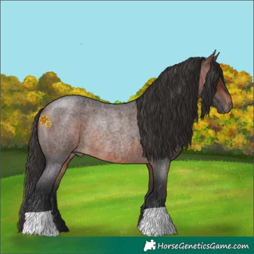 Horse Color:Brown Roan Rabicano 