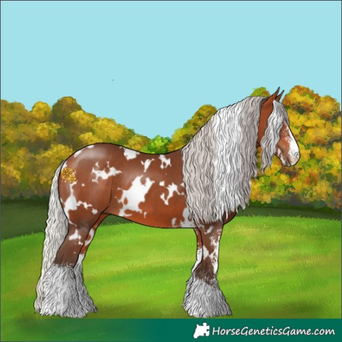 Horse Color:White Spotted Silver Bay Sabino 