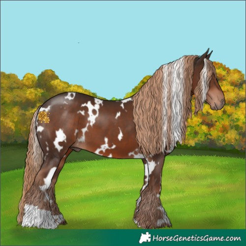 Horse Color:White Spotted Liver Chestnut