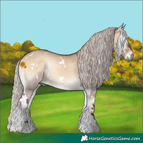 Horse Color:White Spotted Silver Bay Onyx 