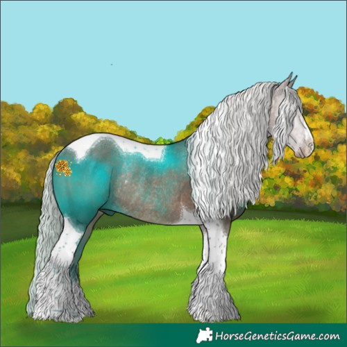 Horse Color:Silver Black Tobiano Rabicano
