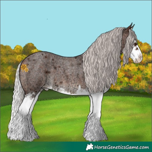 Horse Color:Silver Brown Ice Roan Mushroom Splash Appaloosa