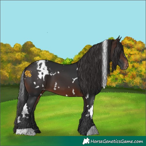 Horse Color:White Spotted Brown Varnish