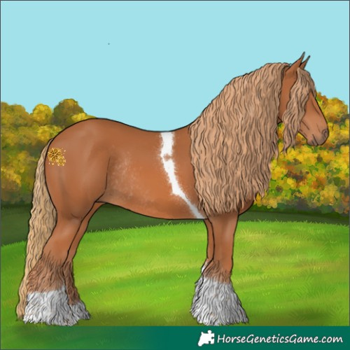 Horse Color:Chestnut Tobiano Rabicano 