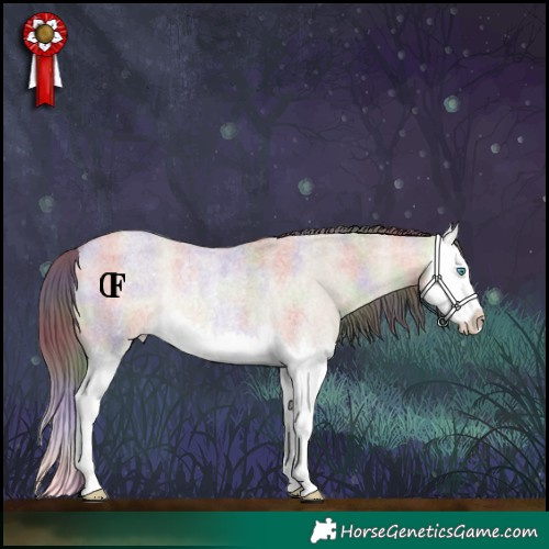 Horse Color:Nacre Amber Champagne Roan Dun Splash Rabicano