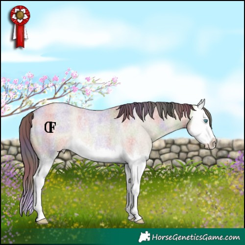 Horse Color:Nacre Amber Champagne Roan Dun Splash Rabicano 