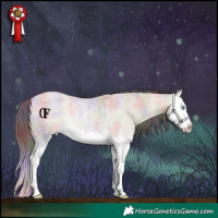 Horse Color:Nacre Amber Champagne Roan Dun Splash Rabicano 