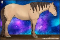 Horse Color:Amber Champagne 