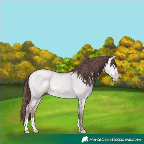 Horse Color:Platinum Chocolate Sable Cream Champagne Dun 
