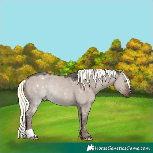 Horse Color:Liver Red Dun Mushroom Rabicano 