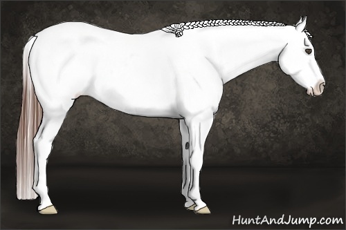 Horse Color:Black Varnish Rabicano 