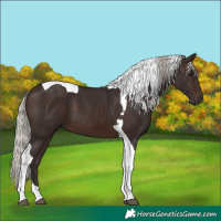 Horse Color:Silver Brown Tobiano