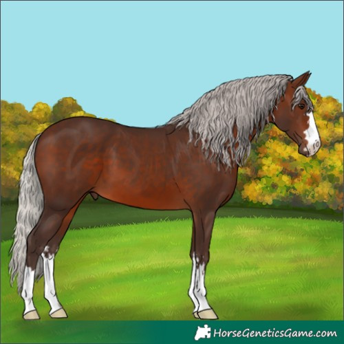 Horse Color:Silver Brown 