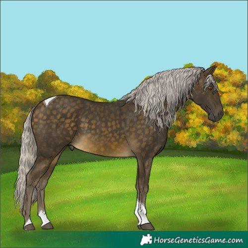 Horse Color:Silver Buckskin Tobiano 