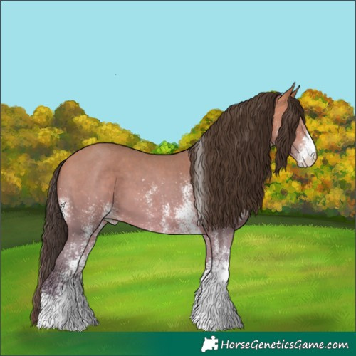 Horse Color:White Spotted Amber Champagne