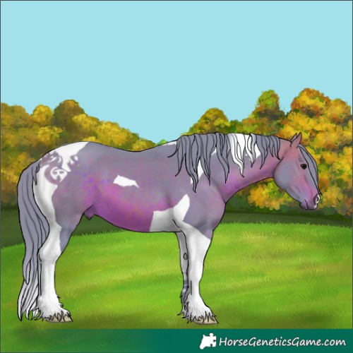 Horse Color:Watercolor Brown Tobiano