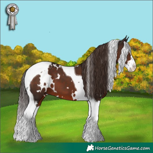 Horse Color:White Spotted Liver Chestnut Splash Tobiano