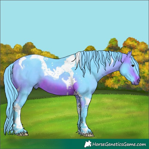Horse Color:Watercolor Brown Tobiano