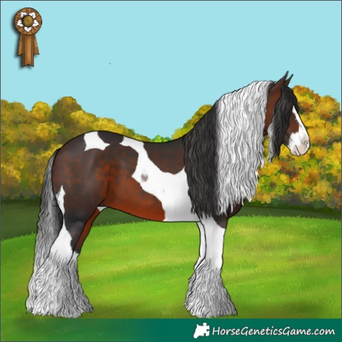 Horse Color:Brown Splash Tobiano