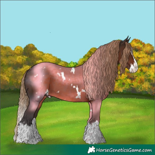 Horse Color:White Spotted Liver Chestnut Splash 