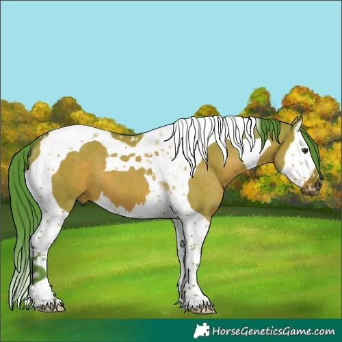 Horse Color:Watercolor Liver Red Dun Splash Tobiano 