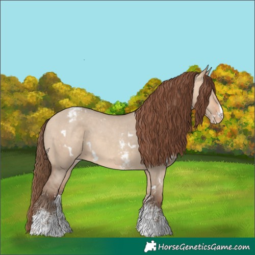 Horse Color:White Spotted Amber Champagne Dun Sabino Varnish 