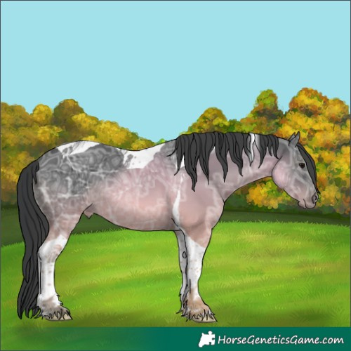 Horse Color:Black Ice Tobiano