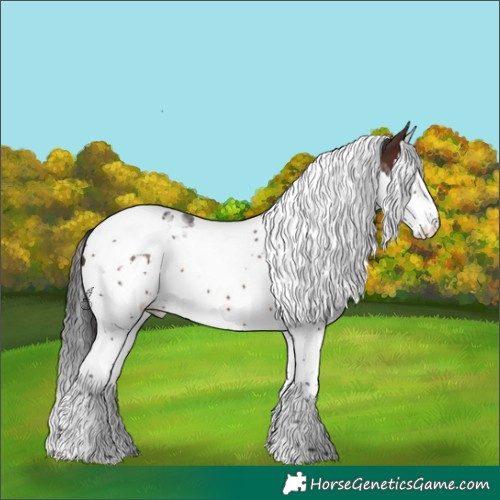 Horse Color:White Spotted Brown Splash Tobiano 