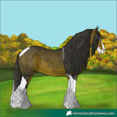 Horse Color:Brown Splash Tobiano