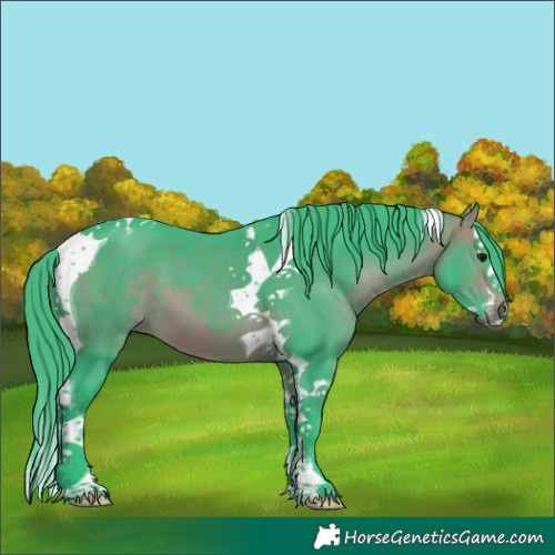 Horse Color:Watercolor Bay Splash Tobiano 