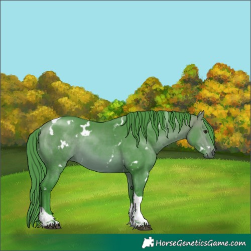 Horse Color:Watercolor White Spotted Bay Tobiano 