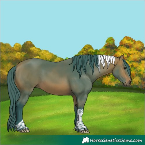 Horse Color:Watercolor Bay Tobiano