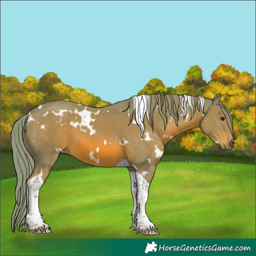 Horse Color:Watercolor White Spotted Chestnut Tobiano 