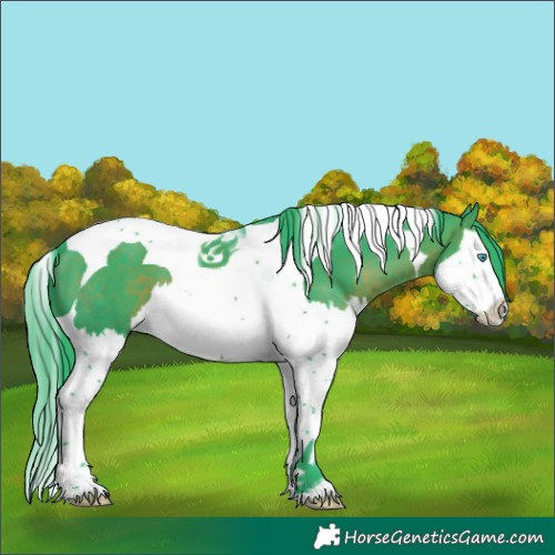 Horse Color:Watercolor Brown Splash Tobiano