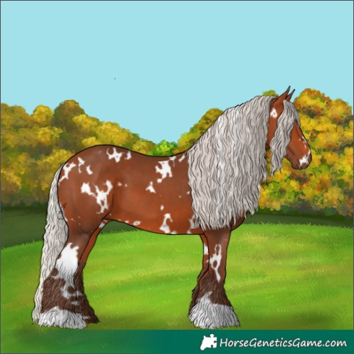 Horse Color:White Spotted Silver Bay 
