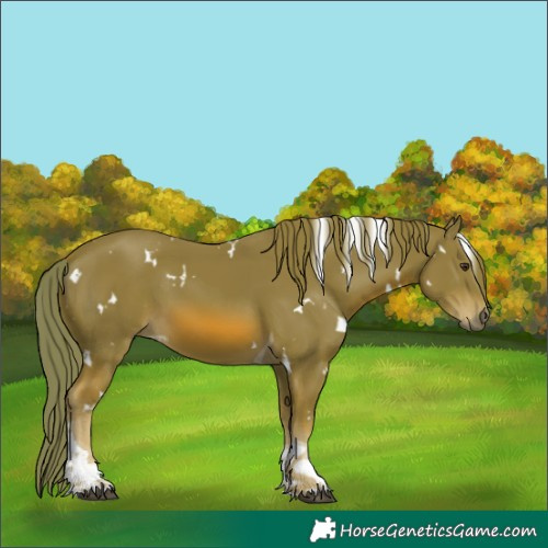 Horse Color:Watercolor White Spotted Chestnut Tobiano 