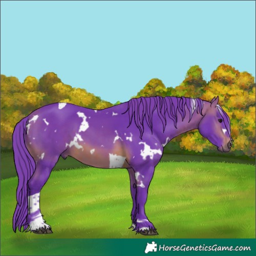Horse Color:Watercolor White Spotted Brown Tobiano 