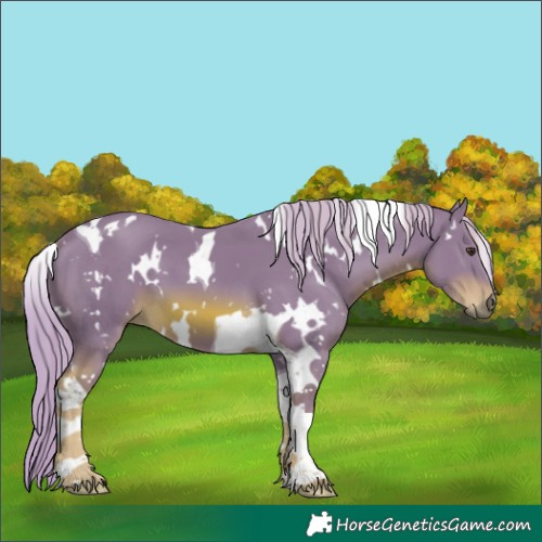 Horse Color:Watercolor White Spotted Chestnut Tobiano 