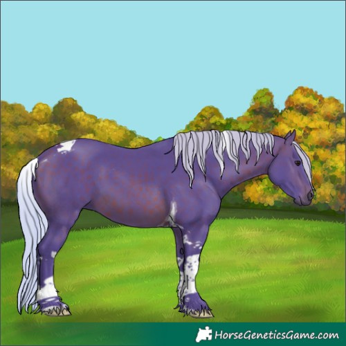 Horse Color:Watercolor Silver Brown Tobiano 